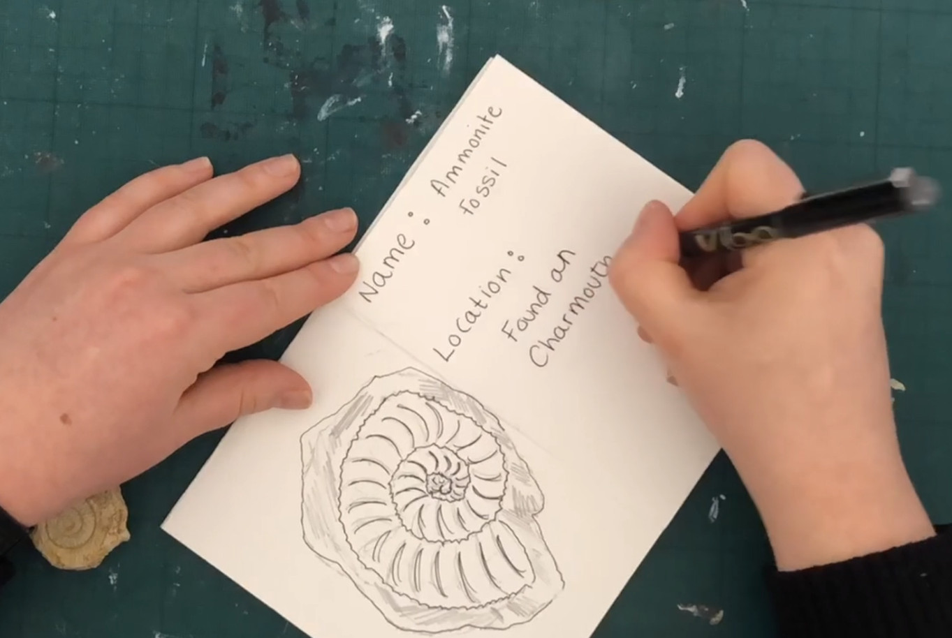 wonams hand holding a pen drawing an ammonite