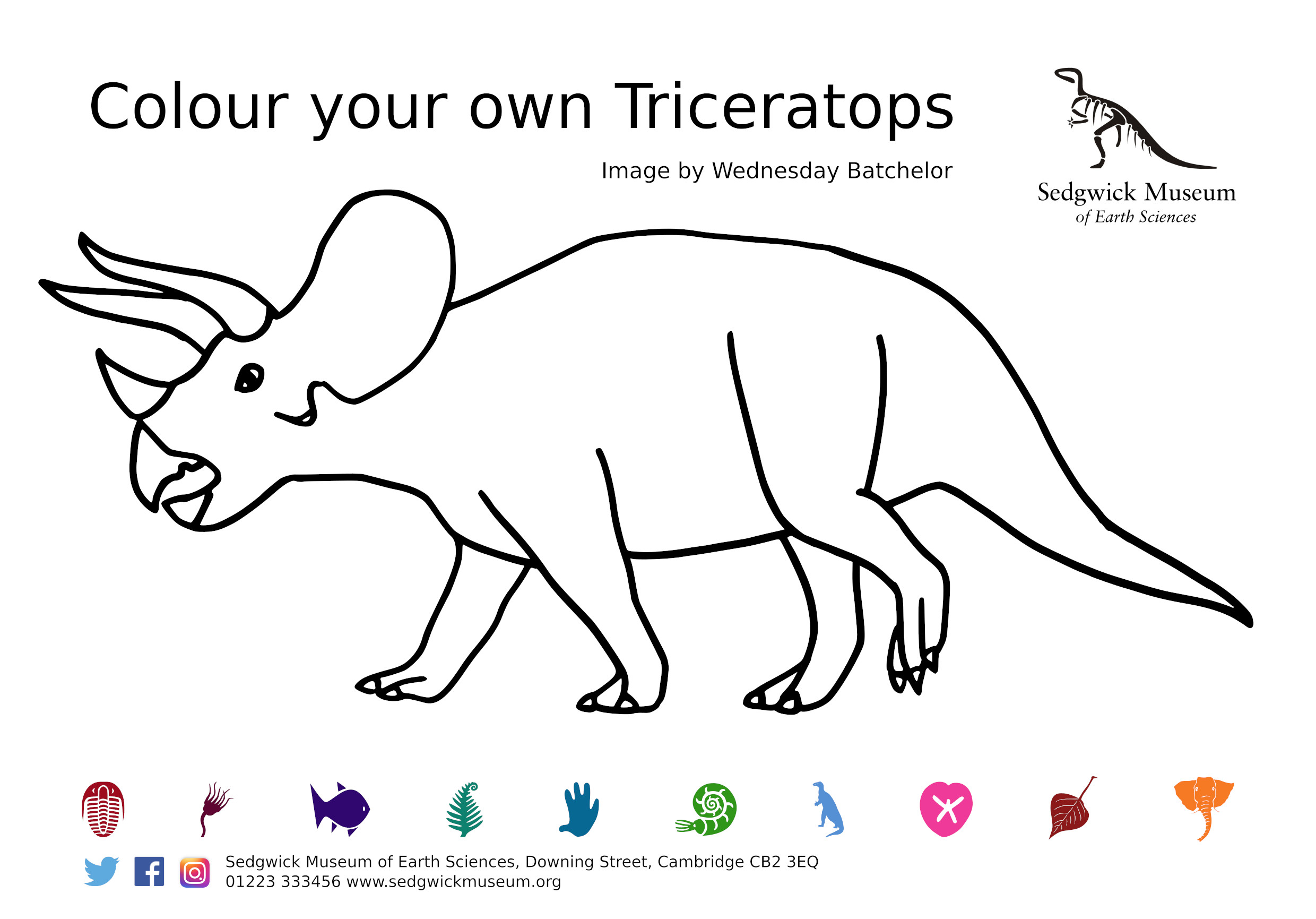 out line of a tricerratops